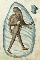 Talhoffer diving suit